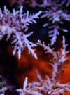 DSCF9764.jpg