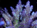 DSCF9770.jpg