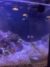 IMG_4186.jpeg