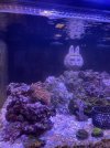 IMG_4184.jpeg