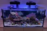 IMG_3174.jpeg
