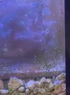 IMG_4192.jpeg