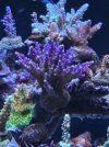 20251005_225633.jpg