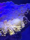 IMG_3552.jpeg