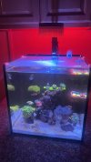 IMG_6269.jpeg