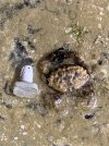IMG_4062.jpeg