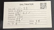 IMG_3565.jpeg