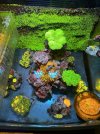IMG_5275.jpeg