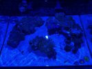 IMG_0695.jpeg