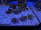IMG_0696.jpeg