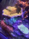 IMG_3186.jpeg