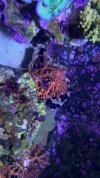 IMG_4052.jpeg