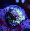 IMG_1608.jpeg
