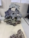 IMG_6413-compressed.jpeg
