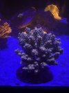 IMG_6978.jpeg