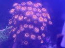IMG_2443.jpeg