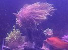 IMG_2440.jpeg