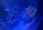 IMG_4561.jpeg