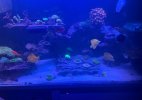 IMG_4560.jpeg