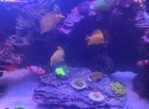 IMG_4559.jpeg