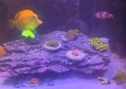 IMG_4562.jpeg