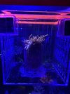IMG_6985.jpeg