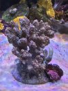 IMG_6989.jpeg