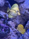 IMG_0753.JPG