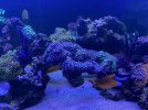 IMG_3273.jpg