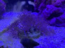 IMG_5546.jpeg