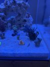 IMG_4349.jpeg