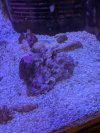 PXL_20260112_010431656.jpg