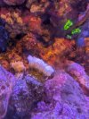 PXL_20260112_010508057.jpg