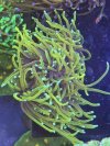 IMG_7660.jpeg
