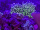 PXL_20260206_201049424.jpg