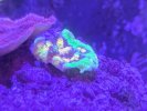 PXL_20260206_201122552.jpg