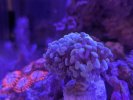 PXL_20260206_201203141.jpg
