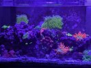 PXL_20260206_024724707.jpg