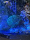 IMG_3541.jpeg