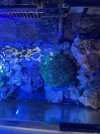 IMG_3542.jpeg