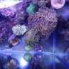 20260211_170726.jpg