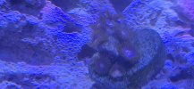 20260212_204836.jpg