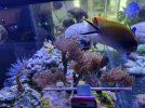 IMG_6967.jpeg