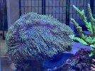 IMG_3606.jpeg