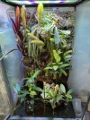 IMG_5175.jpeg