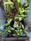 IMG_5176.jpeg