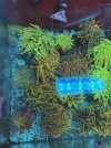 IMG_1848.jpeg