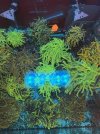IMG_1847.jpeg