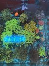 IMG_1846.jpeg