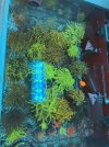 IMG_1849.jpeg